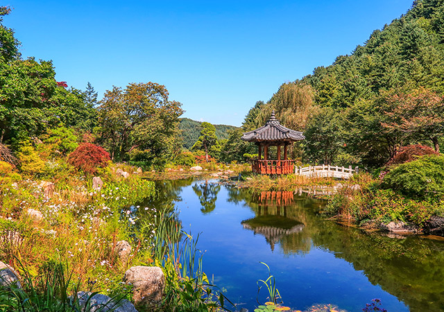 晨靜樹木園 Garden of Morning Calm
