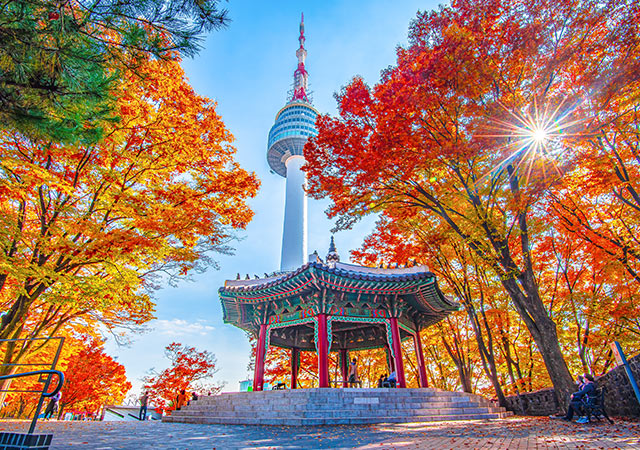 南山公園&南山首爾塔 Namsan Park