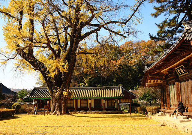 全州韓屋村 Jeonju Hanok Village