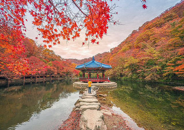 內藏山國家公園 Naejangsan National Park