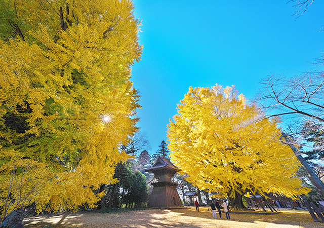 西蓮寺