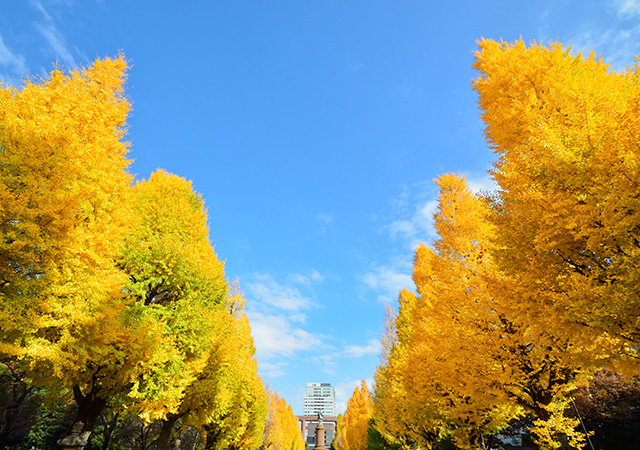 靖國神社