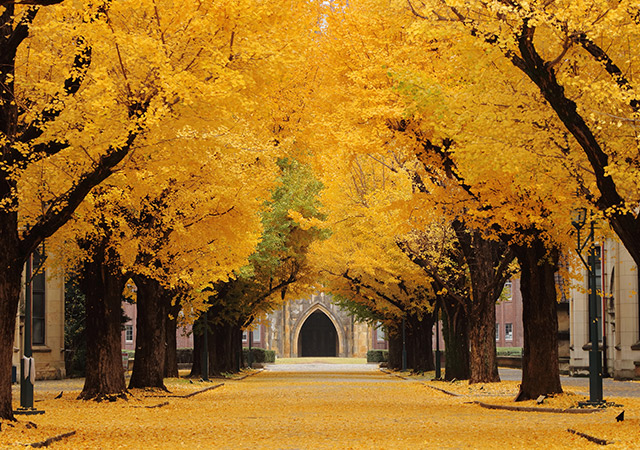 東京大學