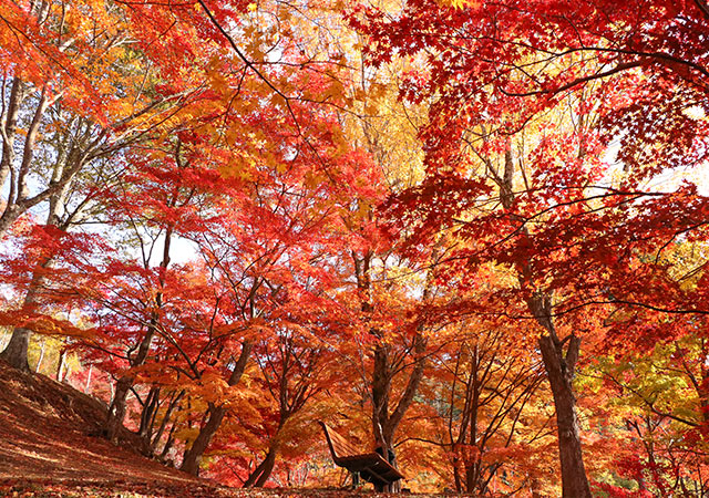 最上山公園