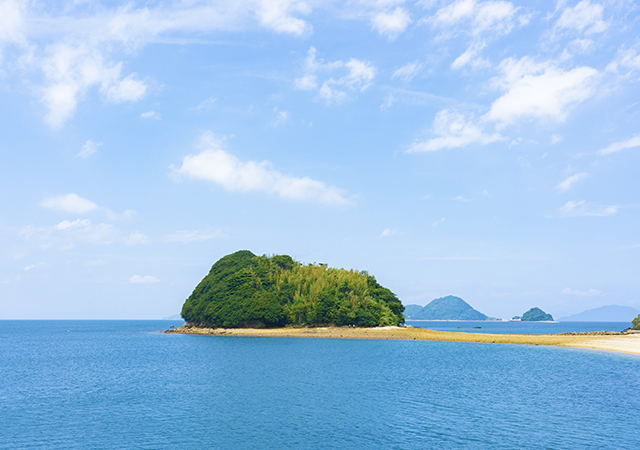 真宮島