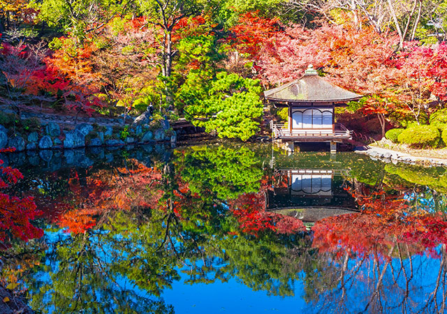紅葉溪庭園