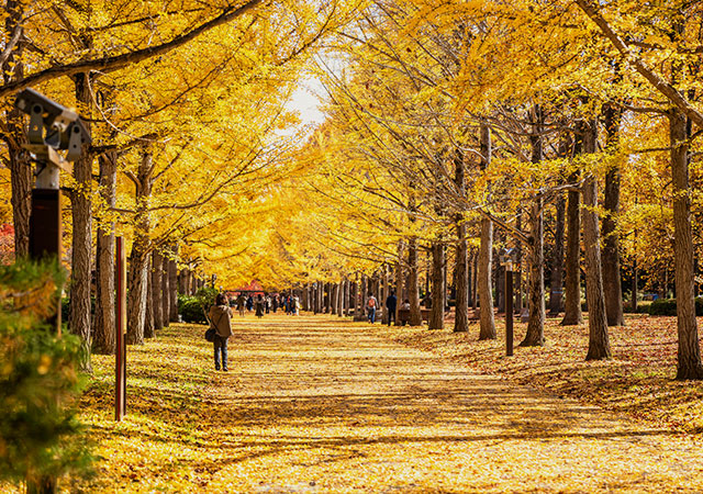 山形縣綜合運動公園