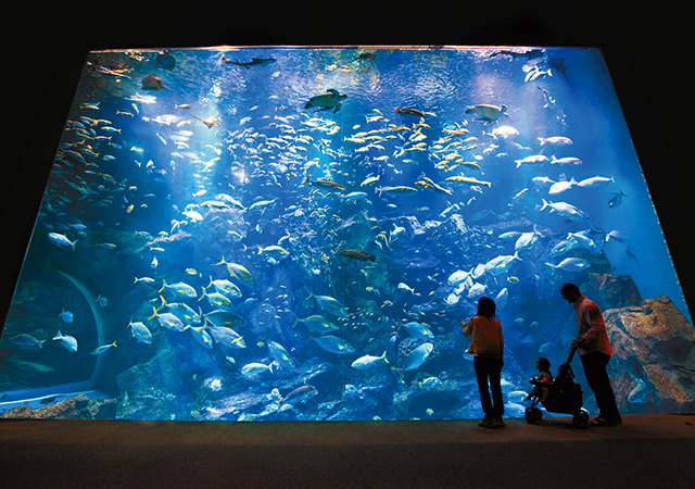 男鹿水族館GAO