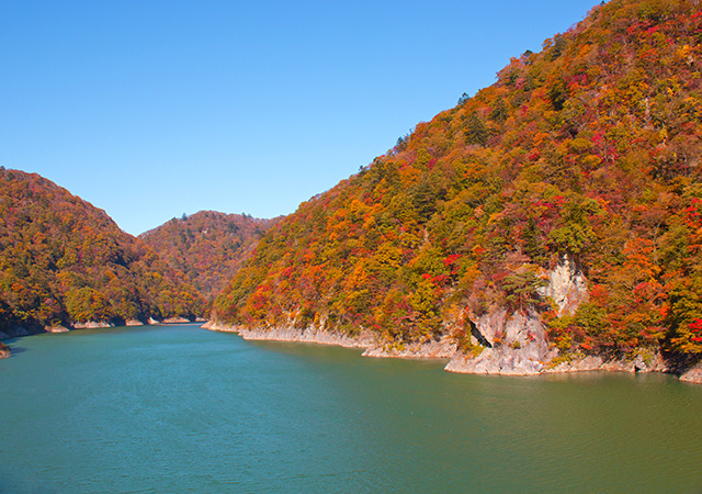 五十里湖