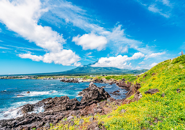 仙法志御崎公園