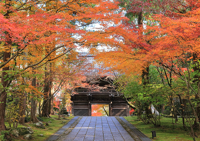 竹林寺