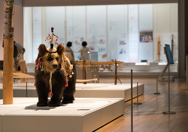 UPOPOY博物館展示室