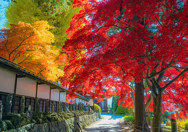 長円寺