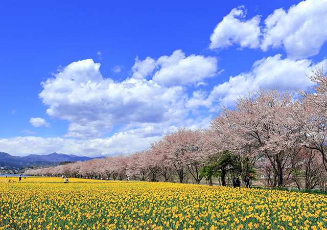 岩井親水公園