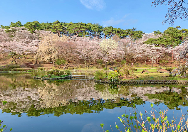 烏之森公園