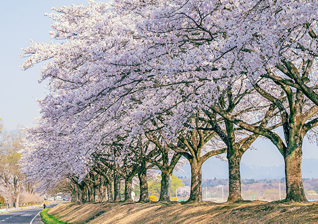 那珂川河畔公園
