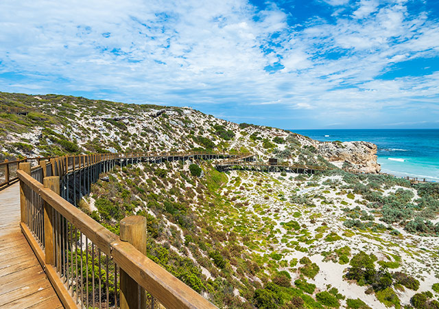 海豹灣保護公園Seal Bay Conservation Park