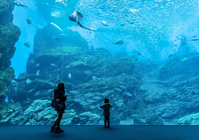 仙台海洋森林水族館