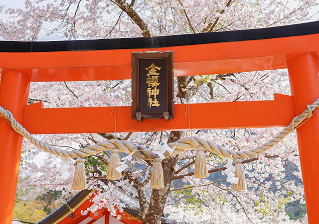 金櫻神社