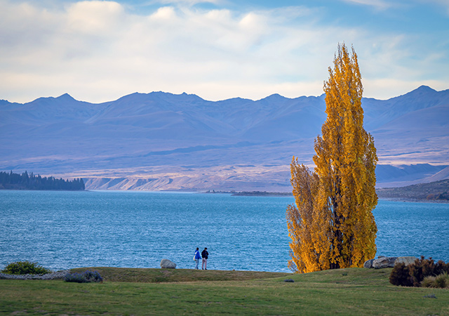 蒂卡波湖 Lake Tekapo
