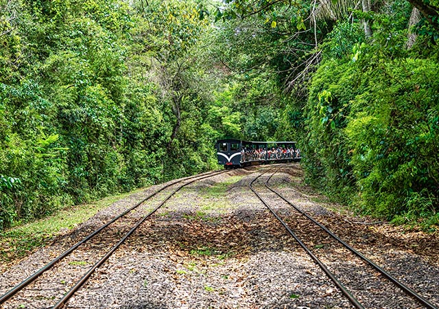 伊瓜蘇叢林小火車
