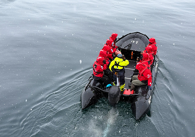 北冕號．衝鋒艇巡航Zodiac Cruise