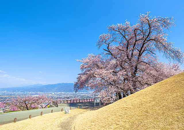 笛吹市八代故鄉公園