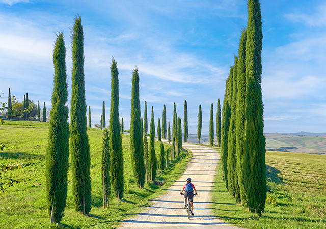 健行或登山自行車Trekking or Mountain Biking