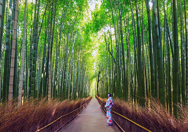 野宮神社