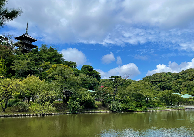 三溪園