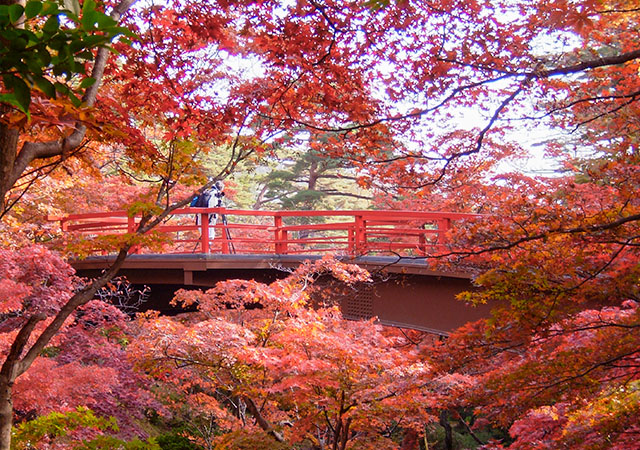 彌彥神社、彌彥公園