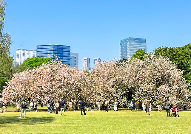 新宿御苑