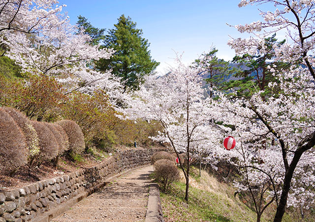 岩殿山丸山公園