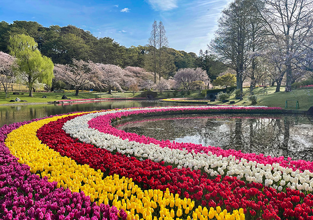 濱松花卉公園