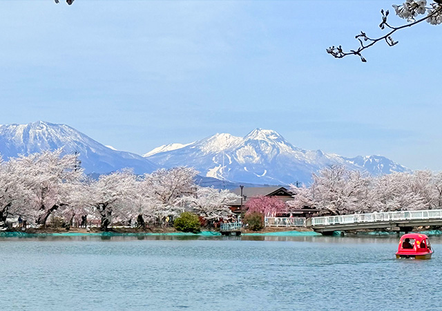 臥龍公園