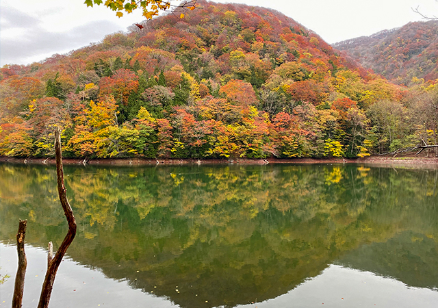 白神山地十二湖