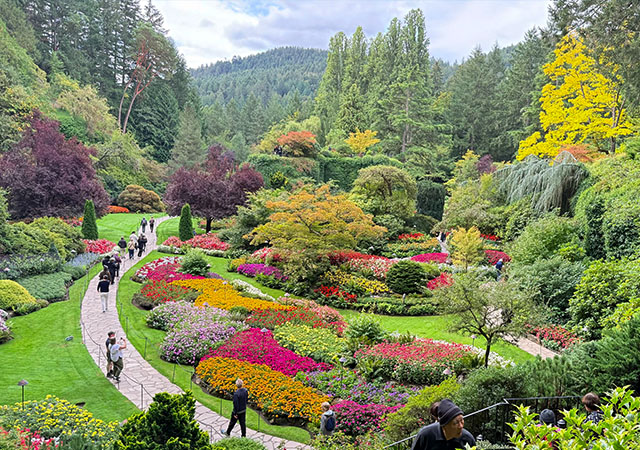 布查花園 The Butchart Gardens