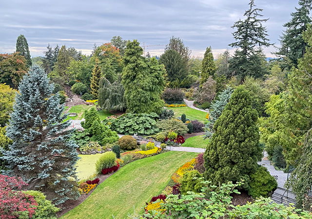 伊莉莎白女王公園Queen Elizabeth