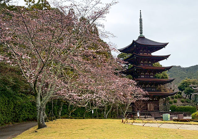 瑠璃光寺