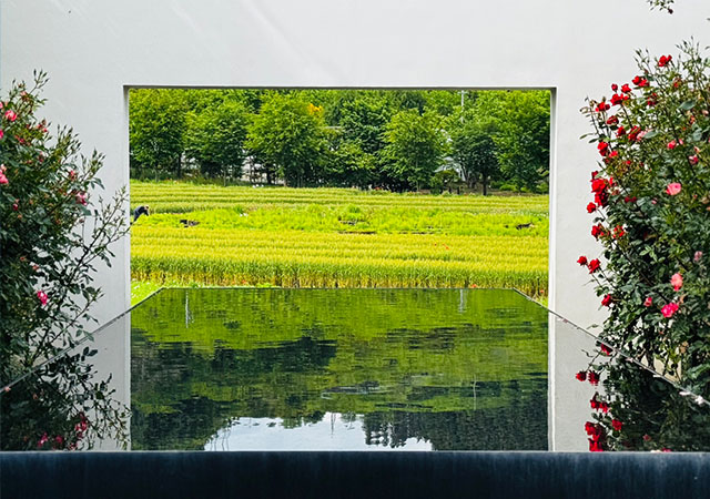 秘境花園