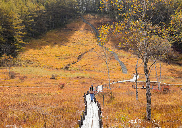入笠濕原散策度步道