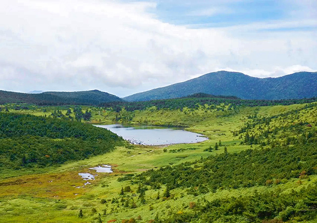 淨土平濕原散策