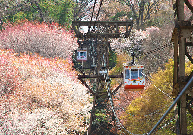 吉野山纜車