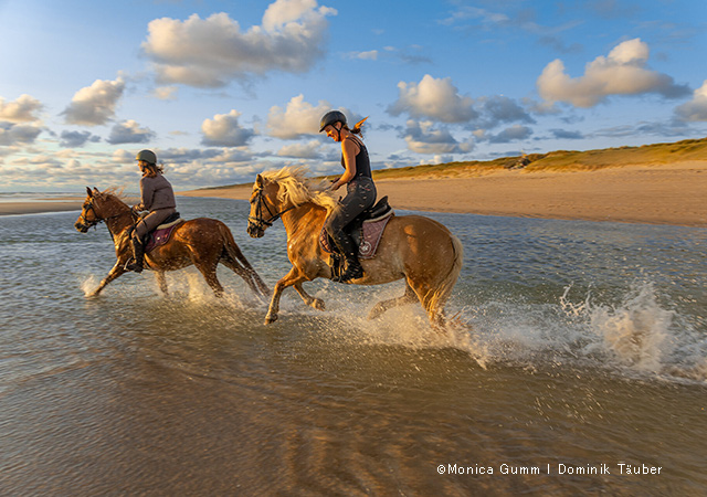 日落沙灘騎行 Sunset Horse Ride