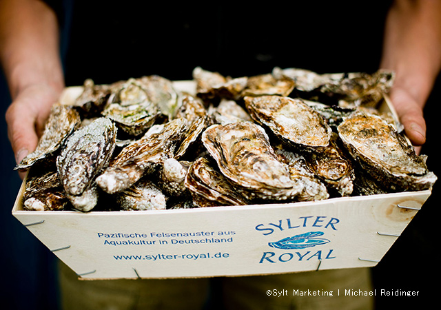 品嘗敘爾特皇家生蠔 Sylter Royal