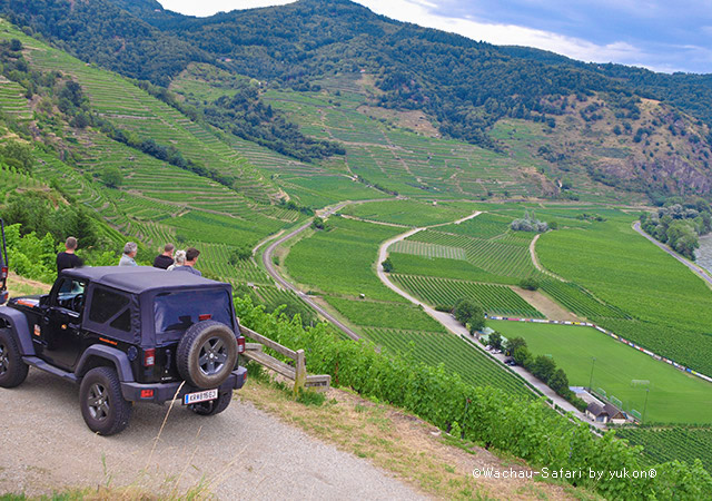 瓦豪葡萄園Safari與葡萄酒巡航