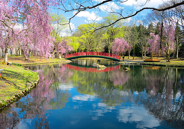 湯澤中央公園