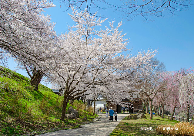 飯山城址公園