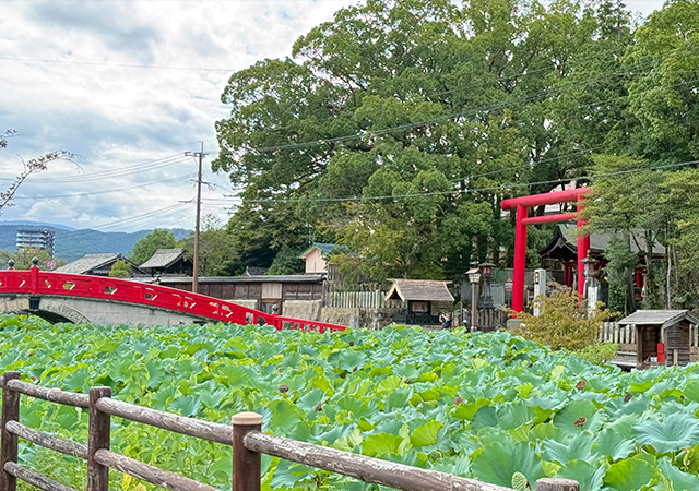 青井阿蘇神社