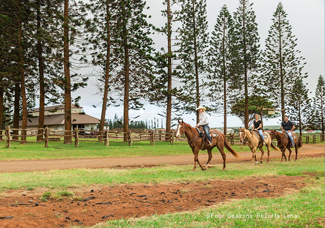 拉奈島牧場Lanai Ranch
